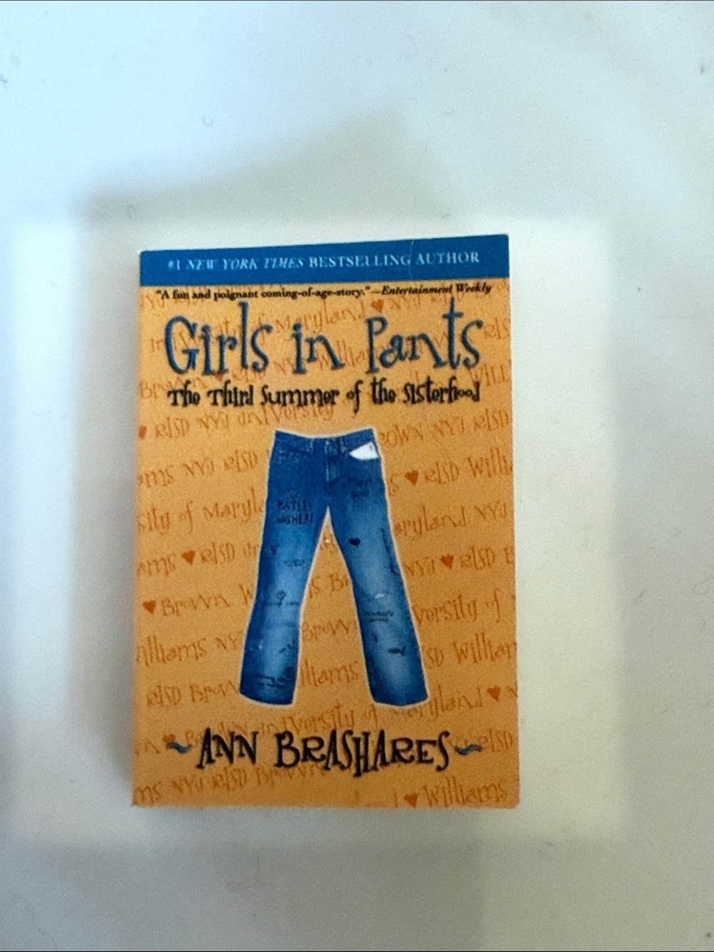 Mini brands book: Girls in Pants: The Third Summer of the Sisterhood - series 2